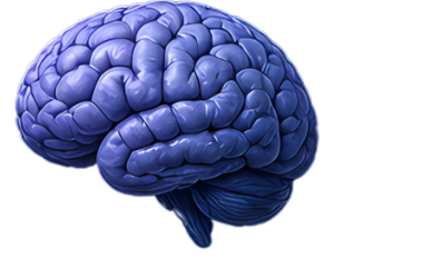 Neurologia